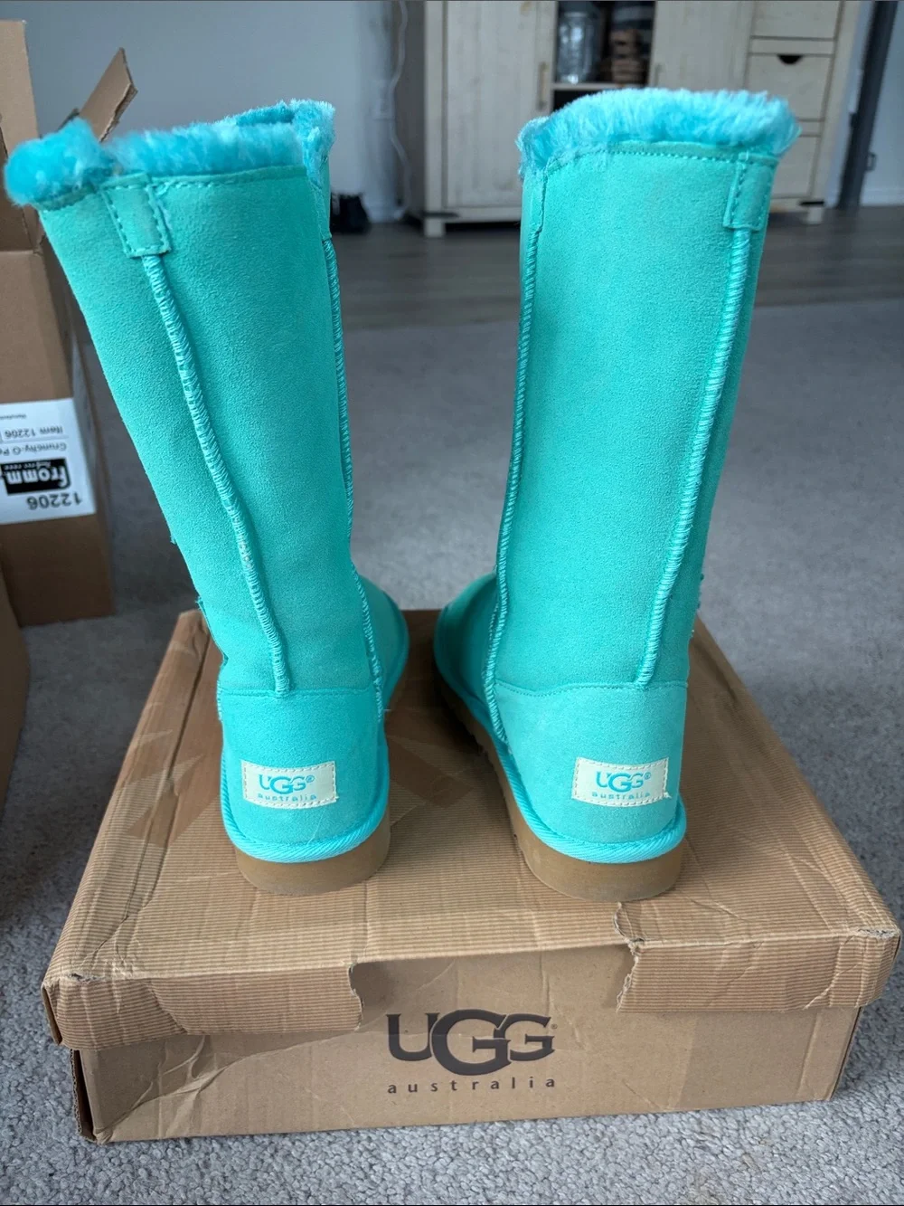 UGG Women's Turquoise Button Tall Suede Boots